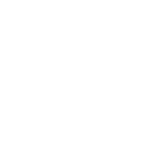 professionalita